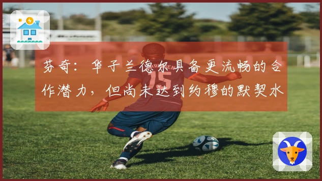 芬奇：华子兰德尔具备更流畅的合作潜力，但尚未达到约穆的默契水平