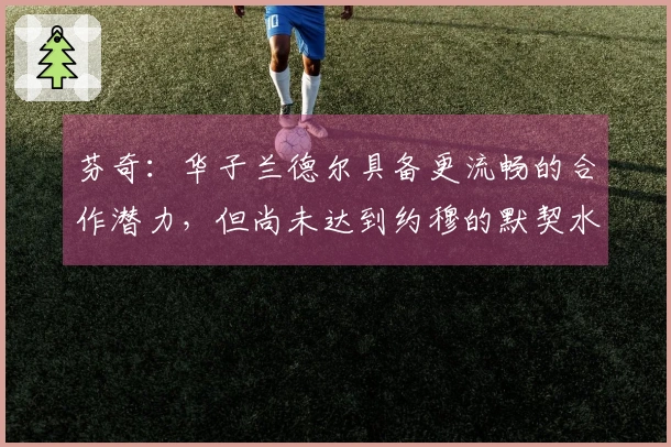 芬奇：华子兰德尔具备更流畅的合作潜力，但尚未达到约穆的默契水平